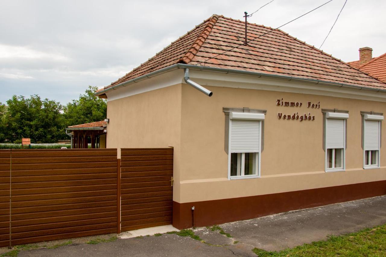 Zimmer Feri Vendeghaz Hotel Abaujszanto Exterior photo