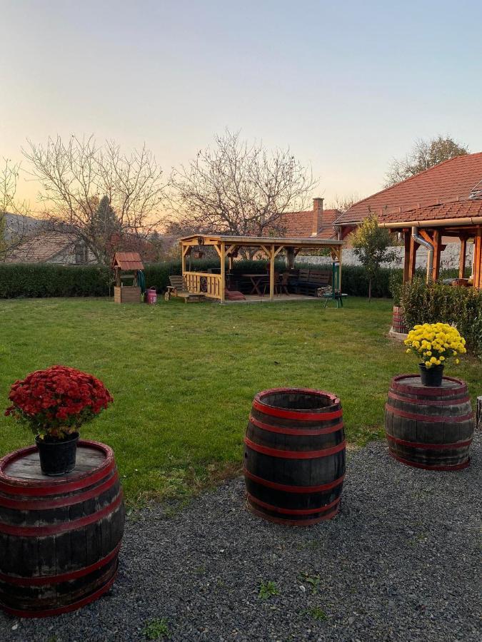 Zimmer Feri Vendeghaz Hotel Abaujszanto Exterior photo